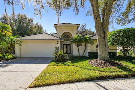 5536 Avenue Du Soleil Lutz, FL 33558