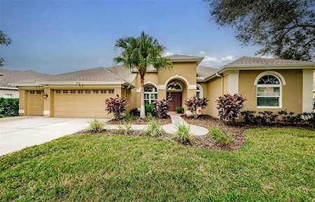 4682 Aylesford Dr Palm Harbor, FL 34685