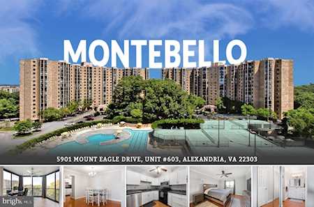 5901 Mount Eagle Dr #603 Alexandria, VA 22303