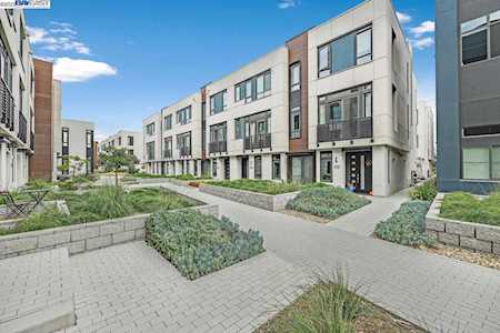 2028 Starling Ln #902 Alameda, CA 94501