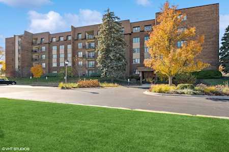 453 Raintree Dr #1P Glen Ellyn, IL 60137