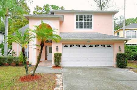 1975 Otter WAY Palm Harbor, FL 34685
