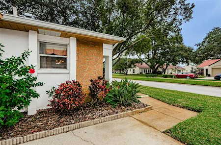 1065 Tartan Dr #D Palm Harbor, FL 34684