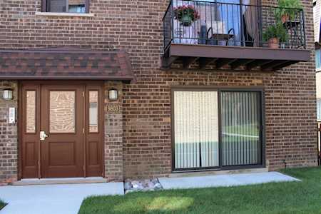 9803 Bianco Terrace #B Des Plaines, IL 60016