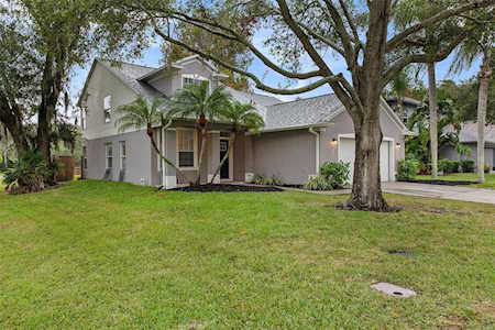 423 Cypress View Dr Oldsmar, FL 34677