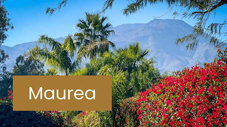 81540 Monarch Ct La Quinta, CA 92253