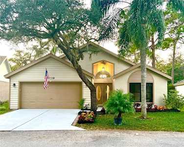 8119 Hathaway Dr New Port Richey, FL 34654