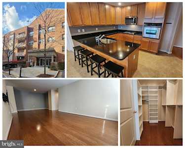 9510 Coyle Rd #301 Owings Mills, MD 21117