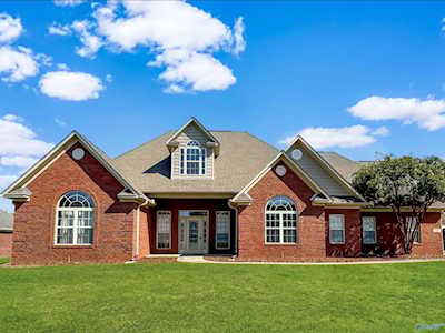 211 Ash Ridge Drive New Market, AL 35761
