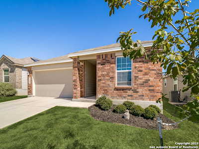2469 Arctic Warbler New Braunfels, TX 78130