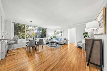155 N El Camino Real #32 San Mateo, CA 94401