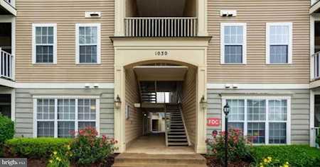 1030 Gardenview Loop #301 Woodbridge, VA 22191