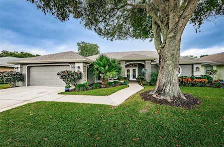 2692 Saddlewood Ln Palm Harbor, FL 34685