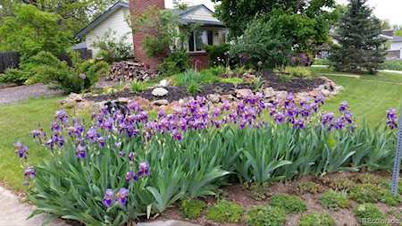 3440 W 95th Ave Westminster, CO 80031