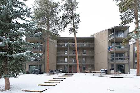 1161 Ski Hill Rd #142 Breckenridge, CO 80424