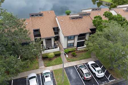 313 Woodlake Wynde Oldsmar, FL 34677
