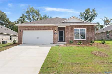 137 River Springs Court New Market, AL 35761