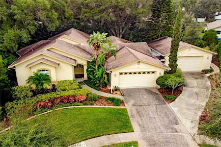 50 Laurel Oak Ct Palm Harbor, FL 34683