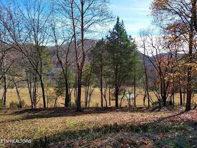 2+ Hundred Clinch River Royalty-Free Images, Stock Photos & Pictures