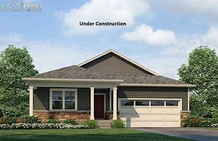 16197 Alpine Sorrel Drive Monument, CO 80132