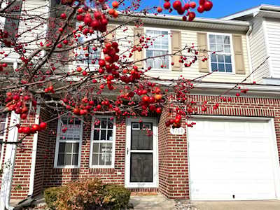 9768 Green Knoll Dr Noblesville, IN 46060