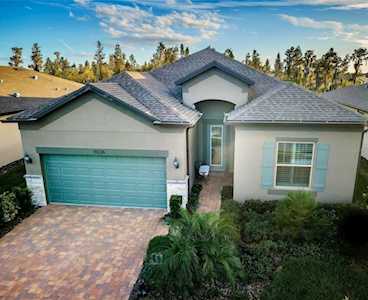 19226 Coastal Shore TERRACE Land O Lakes, FL 34638