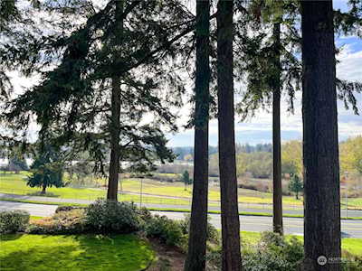 23303 Lakeview Dr #B205 Mountlake Terrace, WA 98043