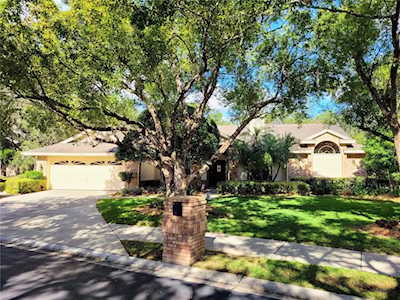 1707 Huntington Ct Safety Harbor, FL 34695