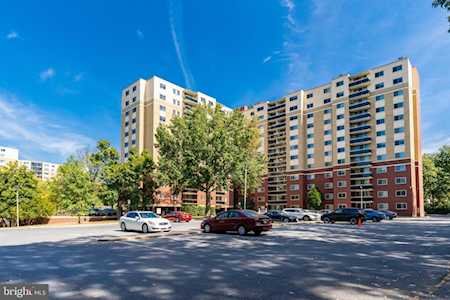 7333 New Hampshire Ave #917 Takoma Park, MD 20912