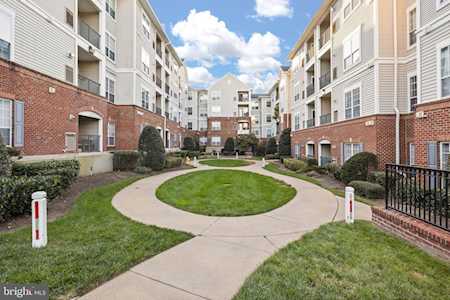 4850 Eisenhower Ave #110 Alexandria, VA 22304