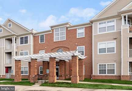 317 Eagles Landing Ct #F Odenton, MD 21113