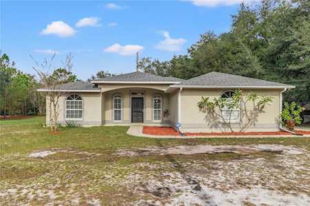 32019 Hedgerow Dr Wesley Chapel, FL 33543