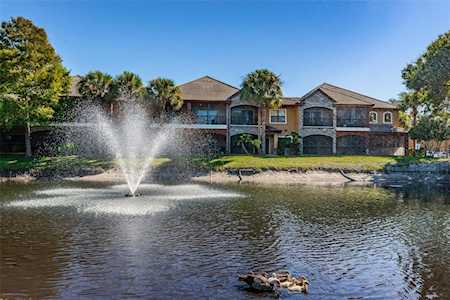 2138 Chianti PLACE #146 Palm Harbor, FL 34683