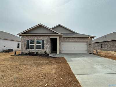 236 Antler Ridge Drive Huntsville, AL 35811