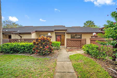 2933 Boxwood Ct Palm Harbor, FL 34684