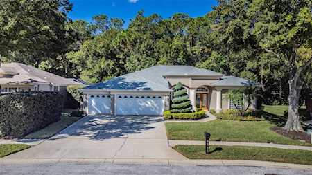 4946 Kylemore Ct Palm Harbor, FL 34685