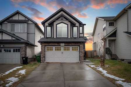 176 Skyview Shores Manor NE Calgary, AB T3N 0J1