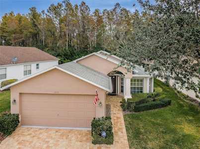 1220 Winding Willow Dr Trinity, FL 34655