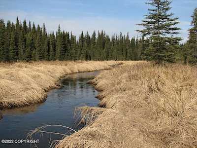 3.07 Acres Soldotna Crk (No Road) Soldotna, AK 99669
