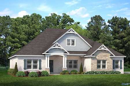 206 M.B. Ayers Way New Market, AL 35761