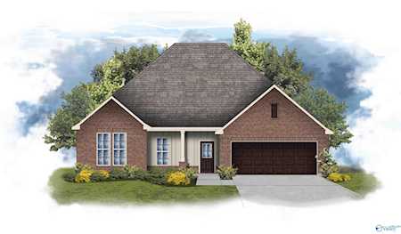 15702 NW Mary Shell Dr Harvest, AL 35749