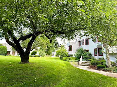 34 Mcintosh Drive #34 Amherst, MA 01002