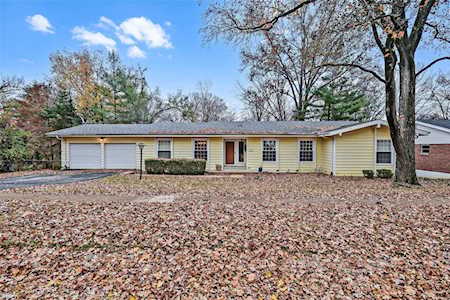 355 Ridgemeadow Dr Chesterfield, MO 63017