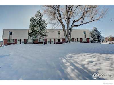 219 Chestnut St #6 Windsor, CO 80550