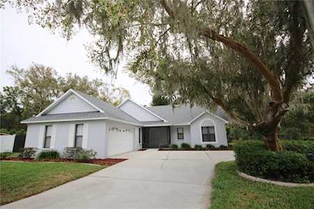 10304 Alberta Ct New Port Richey, FL 34654
