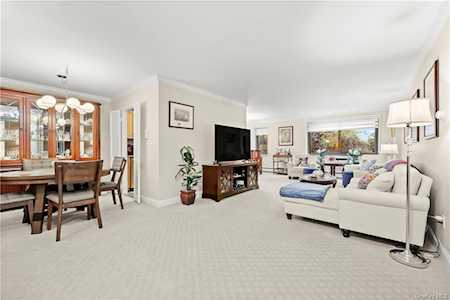 100 E Hartsdale Ave #TIE Hartsdale, NY 10530