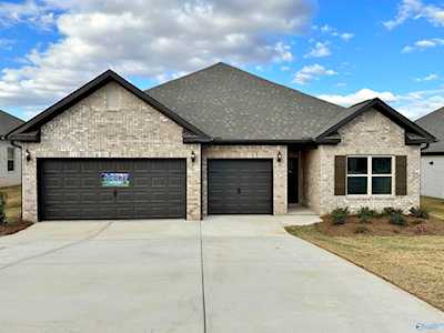 229 Paladin Street New Market, AL 35761
