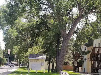9380 W 49th Ave #108 Wheat Ridge, CO 80033