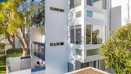 1025 Shell Boulevard #7 Foster City, CA 94404-2968