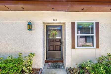 3118 Highlands Blvd Palm Harbor, FL 34684